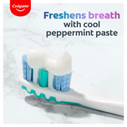 Plaque Pro-Release Fresh Mint Toothpaste