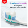 Plaque Pro-Release Fresh Mint Toothpaste